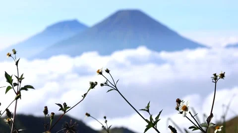 Blurred mountain background Stock Footage 232671834