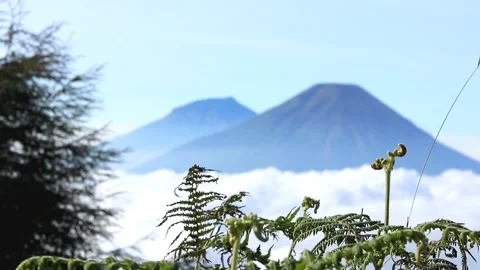 Blurred mountain background Stock Footage 232676772