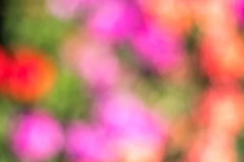 Blurred multi colored colorful background abstract bokeh Stock Photos