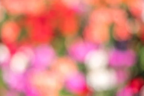 Blurred multi colored colorful background abstract bokeh Foto stock