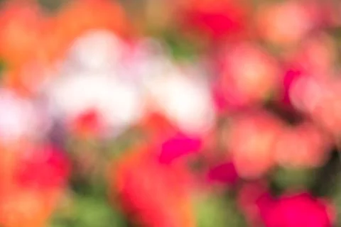 Blurred multi colored colorful background abstract bokeh Foto stock