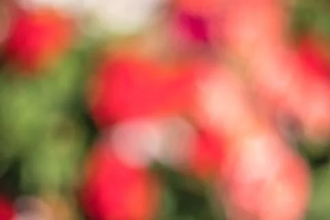 Blurred multi colored colorful background abstract bokeh Stock Photos