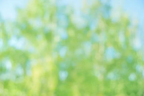 Blurred natural background Stock Photos