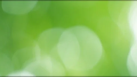 Blurred nature Background  Stock Footage 92406340