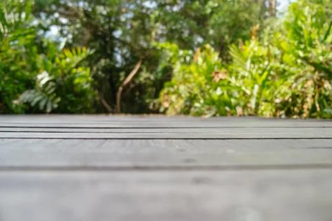 Blurred nature background pattern of dark wooden floor with lush green forest. Stock Photos