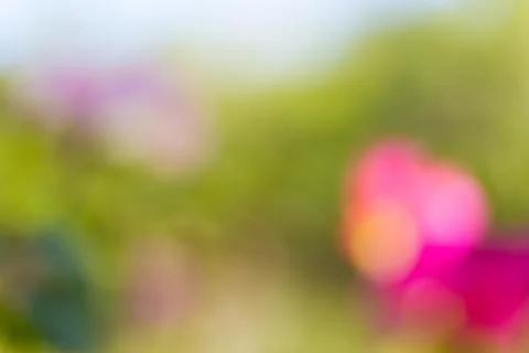 Blurred nature background Stock Photos