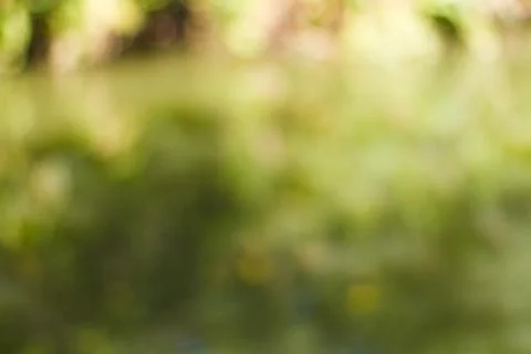 Blurred nature background Stock Photos