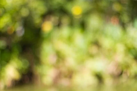 Blurred nature background Stock Photos