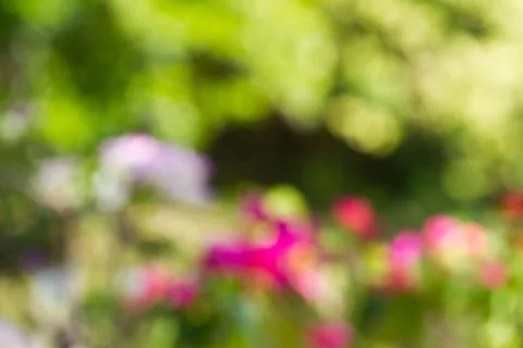 Blurred nature background Stock Photos