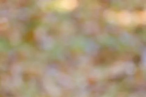 Blurred nature background Foto stock