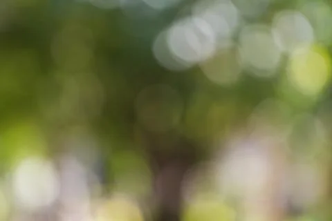 Blurred nature background Stock Photos