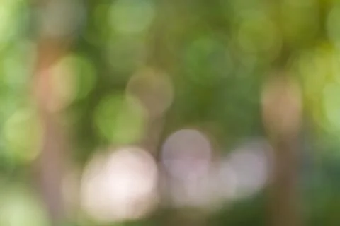 Blurred nature background Stock Photos
