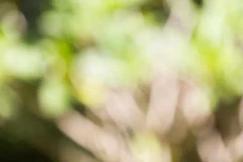 Blurred nature background Stock Photos