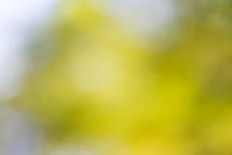 Blurred nature background Stock Photos