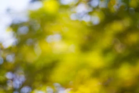 Blurred nature background Stock Photos