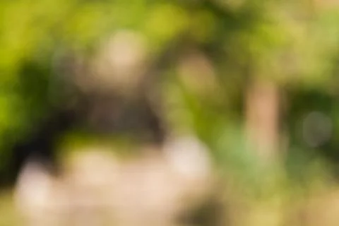 Blurred nature background Foto stock