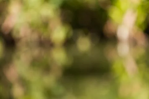 Blurred nature background Stock-Fotos