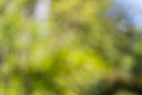 Blurred nature background Foto stock