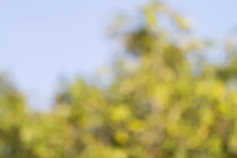 Blurred nature background Stock-Fotos