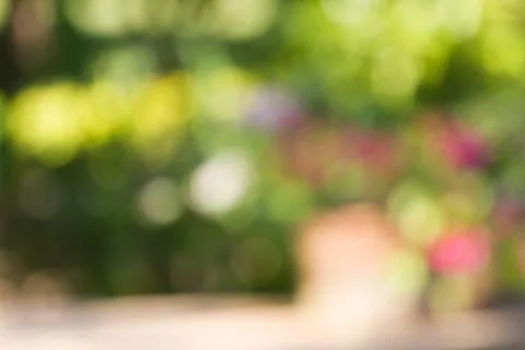 Blurred nature background Foto stock