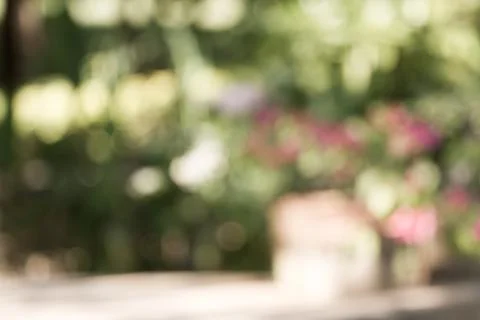Blurred nature background Stock Photos