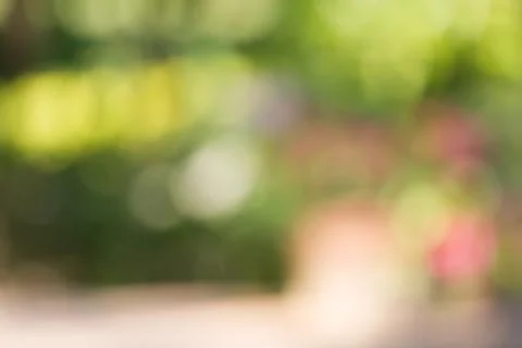 Blurred nature background Stock Photos