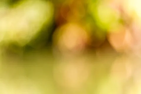 Blurred nature background Stock Photos