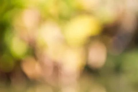 Blurred nature background Foto stock