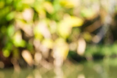 Blurred nature background Stock-Fotos