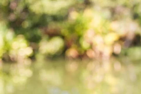 Blurred nature background Stock Photos