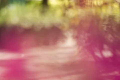 Blurred nature background Stock Photos