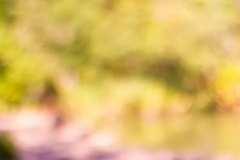 Blurred nature background Stock-Fotos