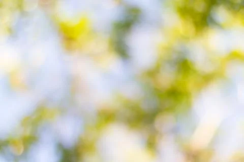 Blurred nature background Stock Photos
