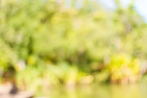 Blurred nature background Foto stock