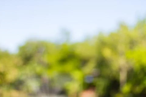 Blurred nature background Foto stock