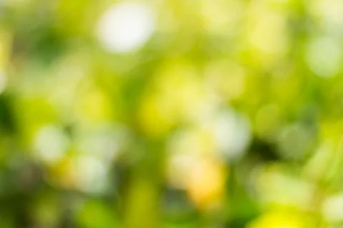 Blurred nature background Stock-Fotos