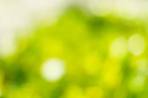 Blurred nature background Stock Photos