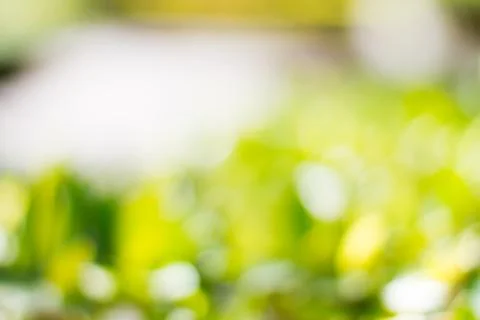 Blurred nature background Stock Photos