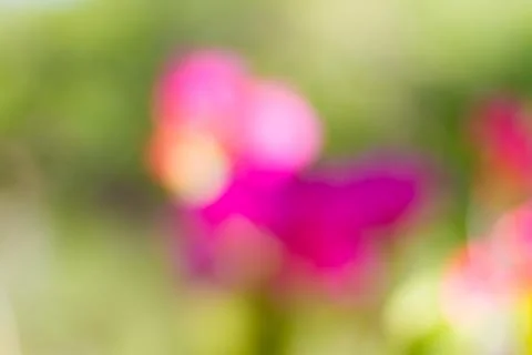Blurred nature background Stock Photos