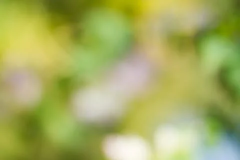 Blurred nature background Stock Photos
