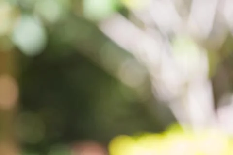 Blurred nature background Stock Photos
