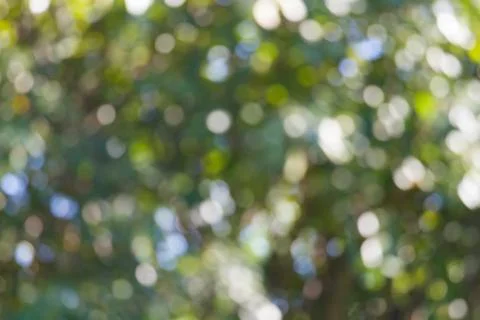 Blurred nature background Foto stock