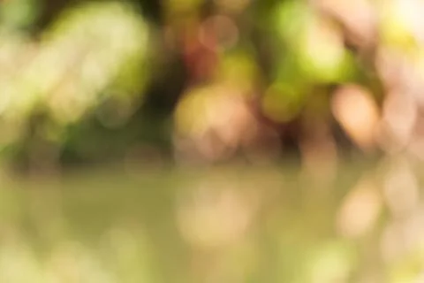 Blurred nature background Stock Photos
