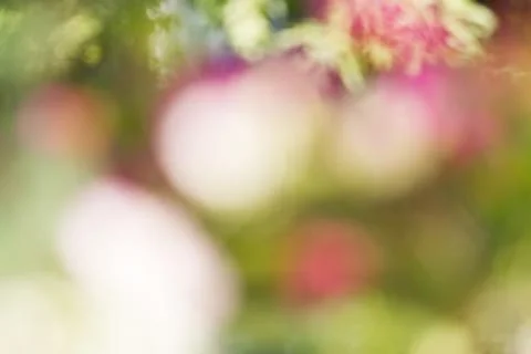 Blurred nature background Stock Photos