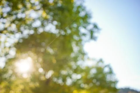 Blurred Nature Background Stock Photos