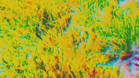 Blurred nature - dynamic animation Stock Footage 95407362