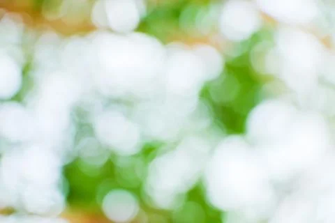 Blurred nature Stock Photos