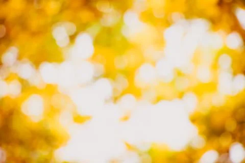 Blurred nature Stock Photos