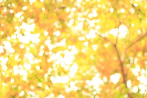 Blurred nature Stock Photos