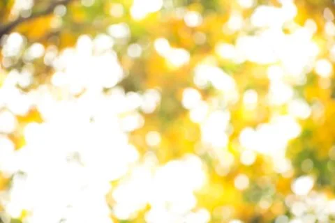 Blurred nature Stock Photos